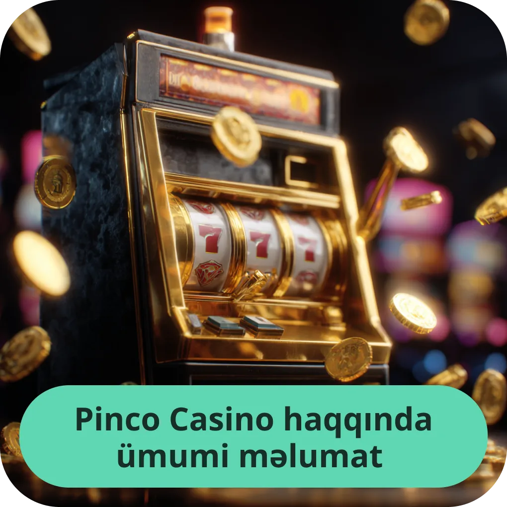 Pinco Casino haqqında ümumi məlumat